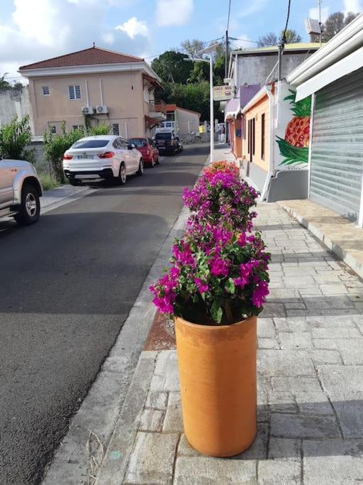 Appartamento Cosy T3 Au Coeur De Sainte Anne Esterno foto